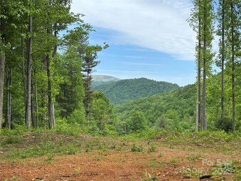 (SW Lot) TBD Silas Branch Road Burnsville NC 28714