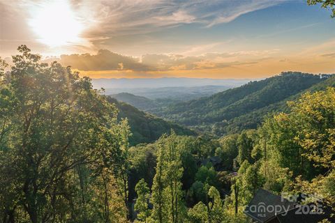 32 Timberwolf Court Asheville NC 28804