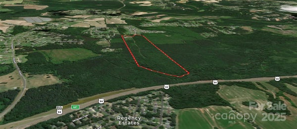 1202 WILLOW BROOK RD, NASHVILLE, NC 27856 - Image ff95c1eb3f47e0eaac555cb5a8abc7d3/757666258
