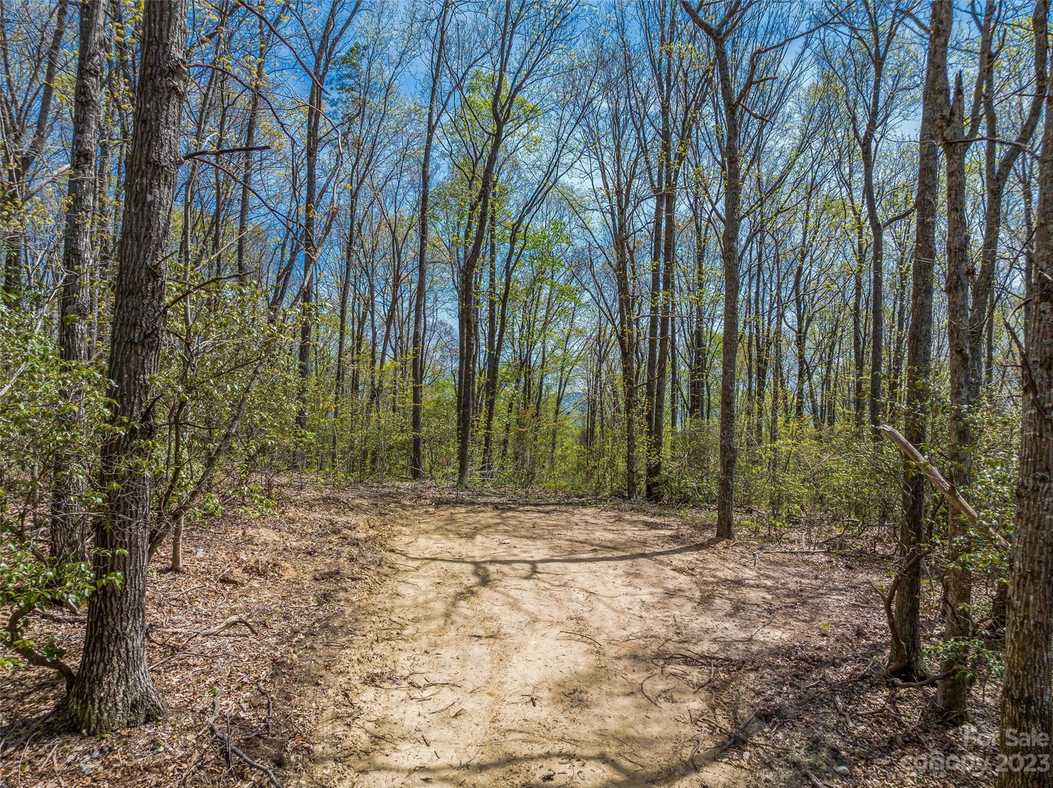 Merrills Ridge - Land