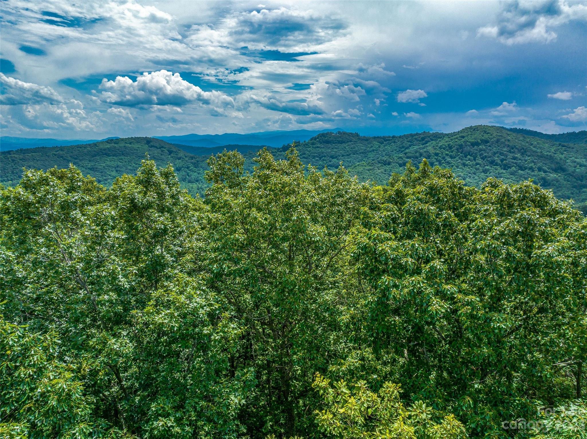 Merrills Ridge - Land