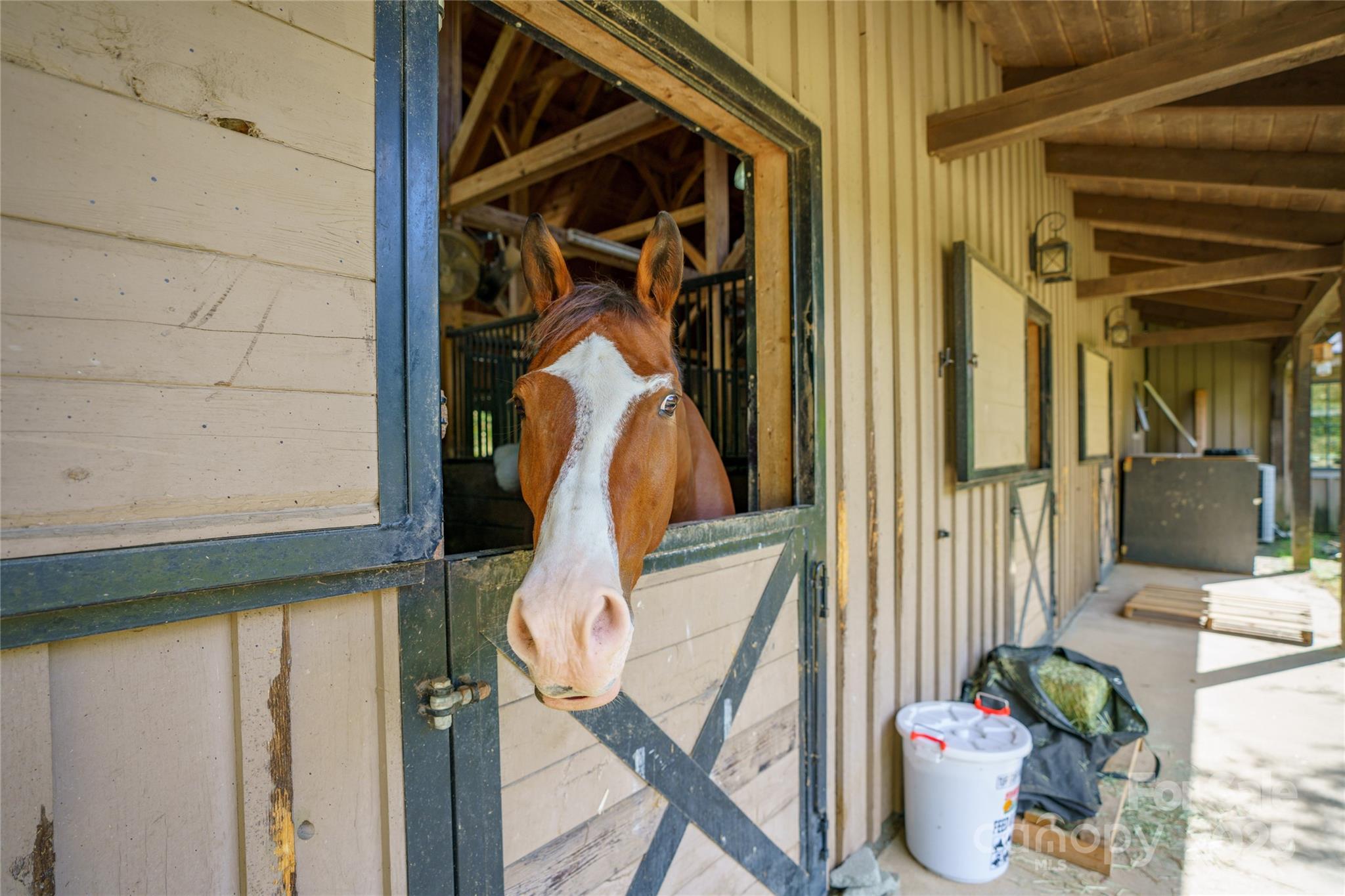 Brights Creek - Land