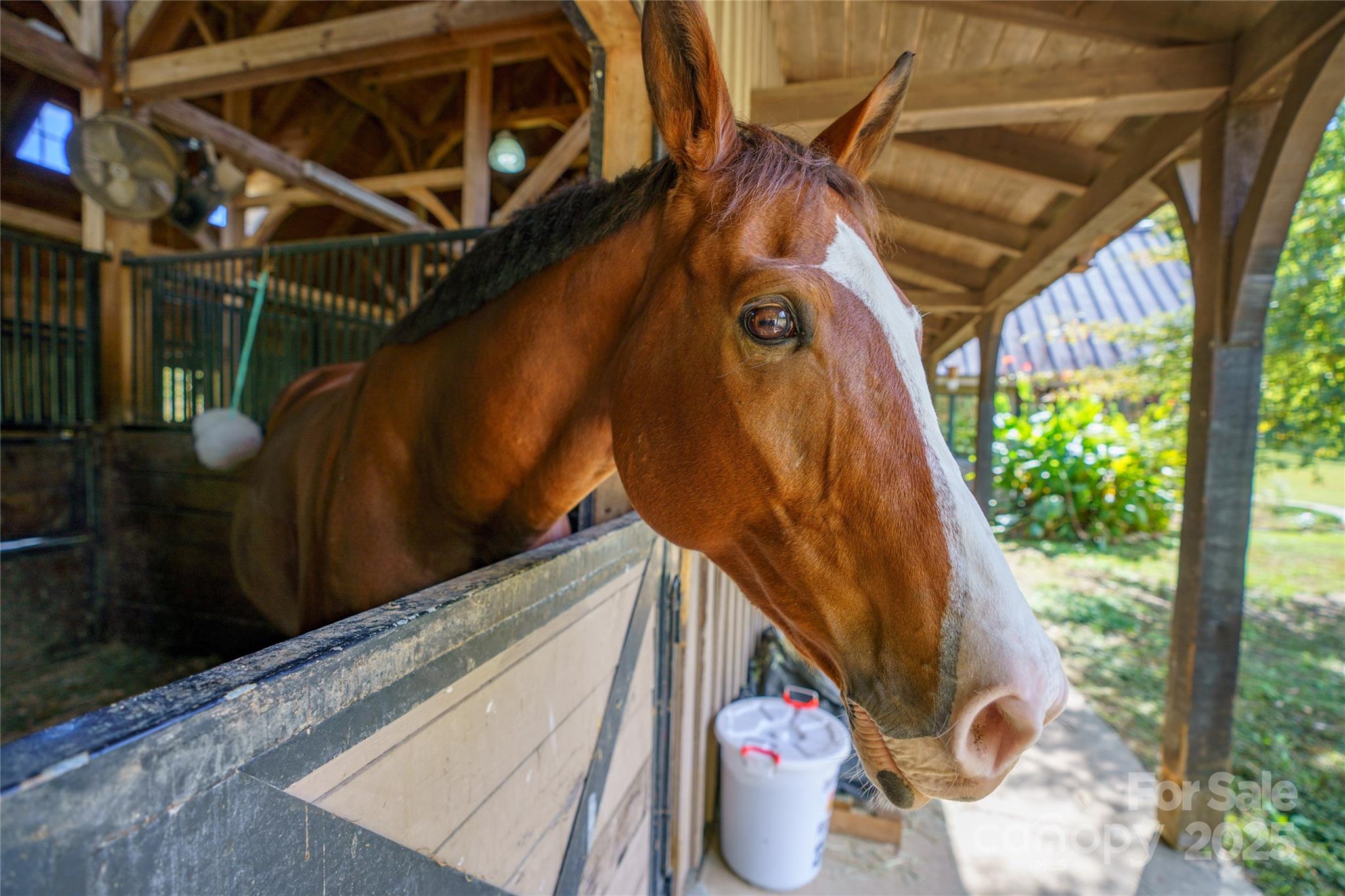 Brights Creek - Land