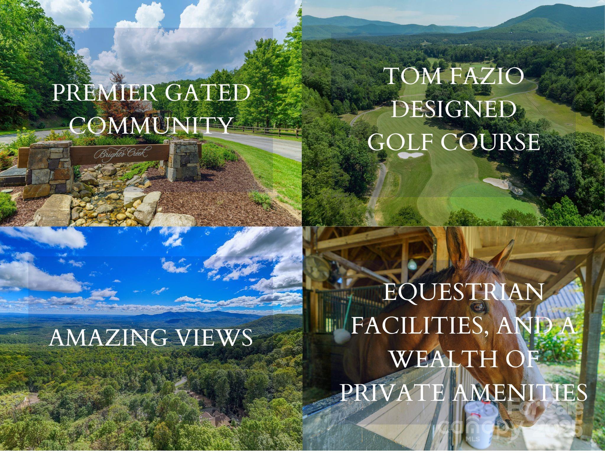 000 Deep Gap Farm Drive 237-2021