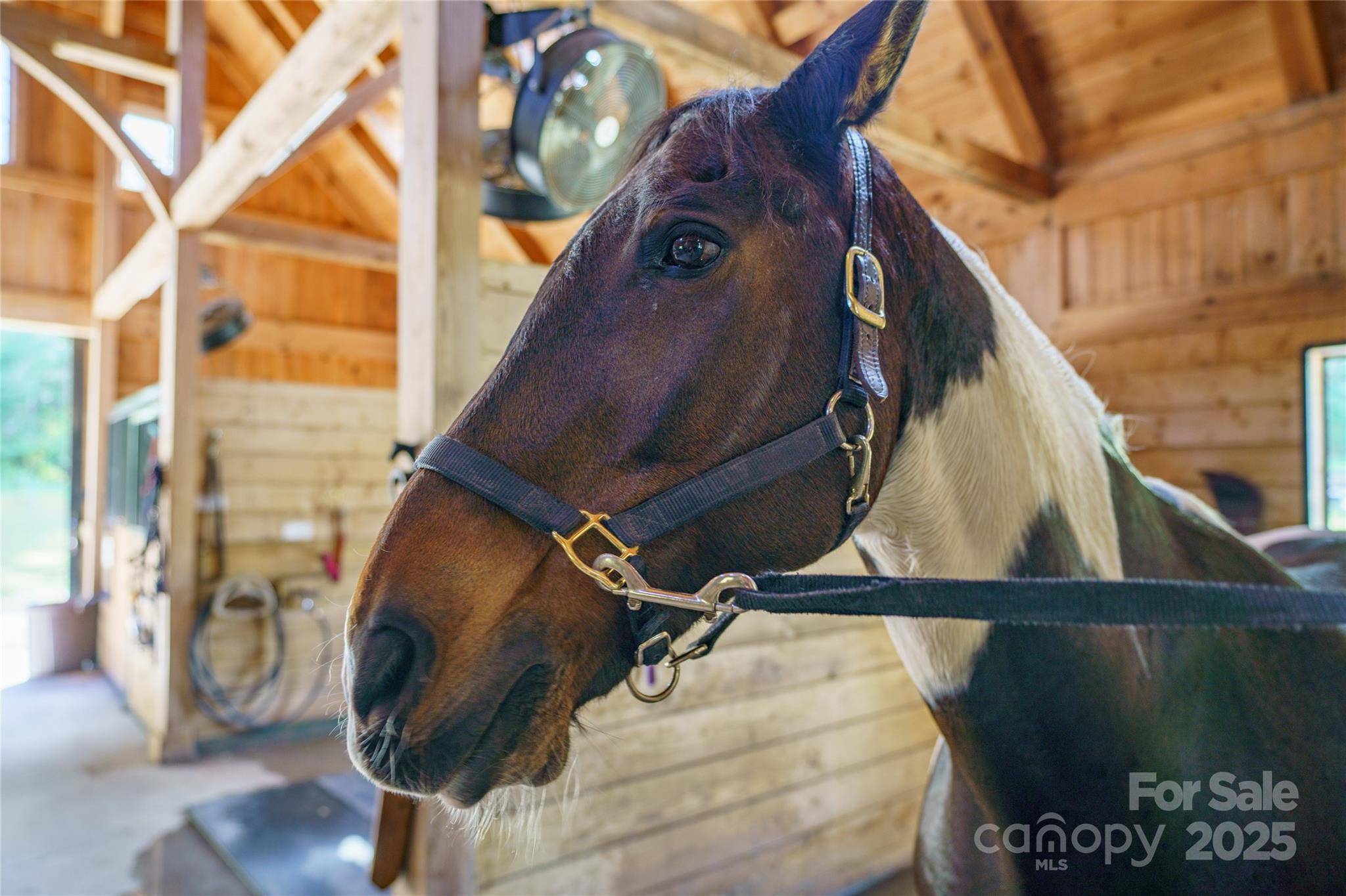 Brights Creek - Land