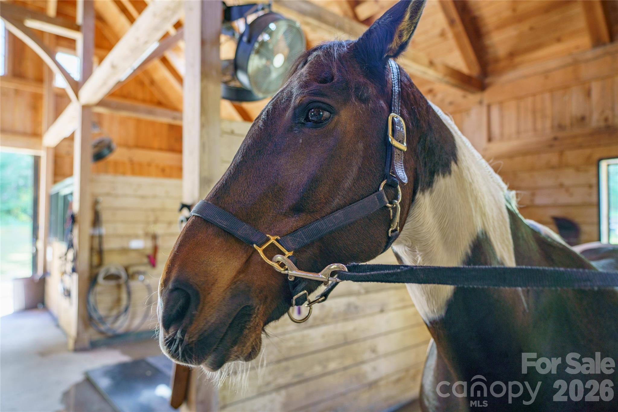 Brights Creek - Land