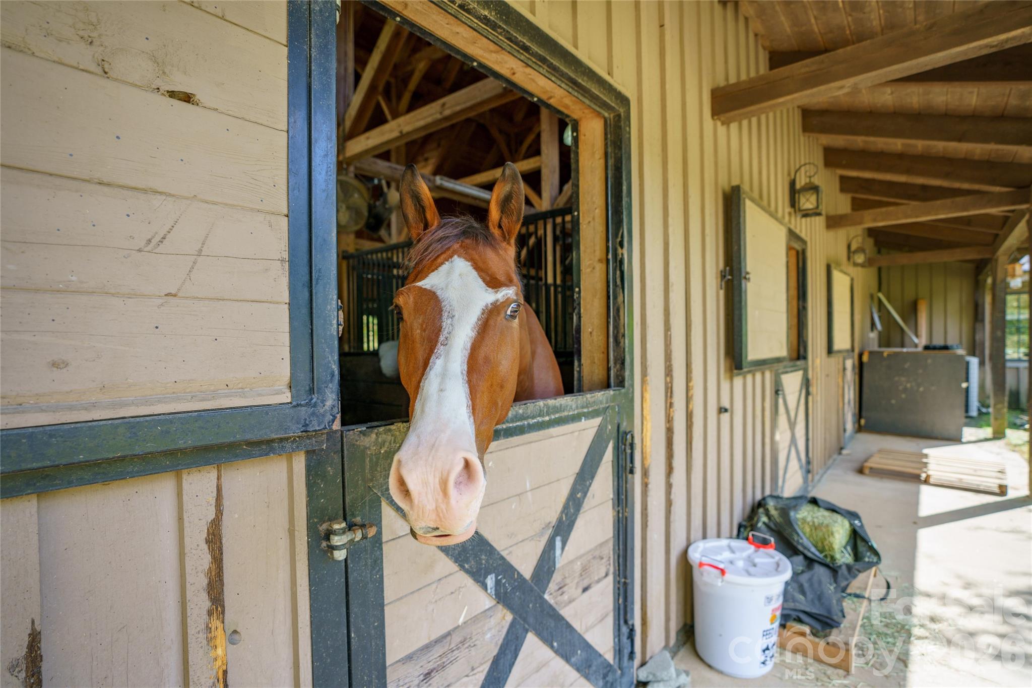 Brights Creek - Land