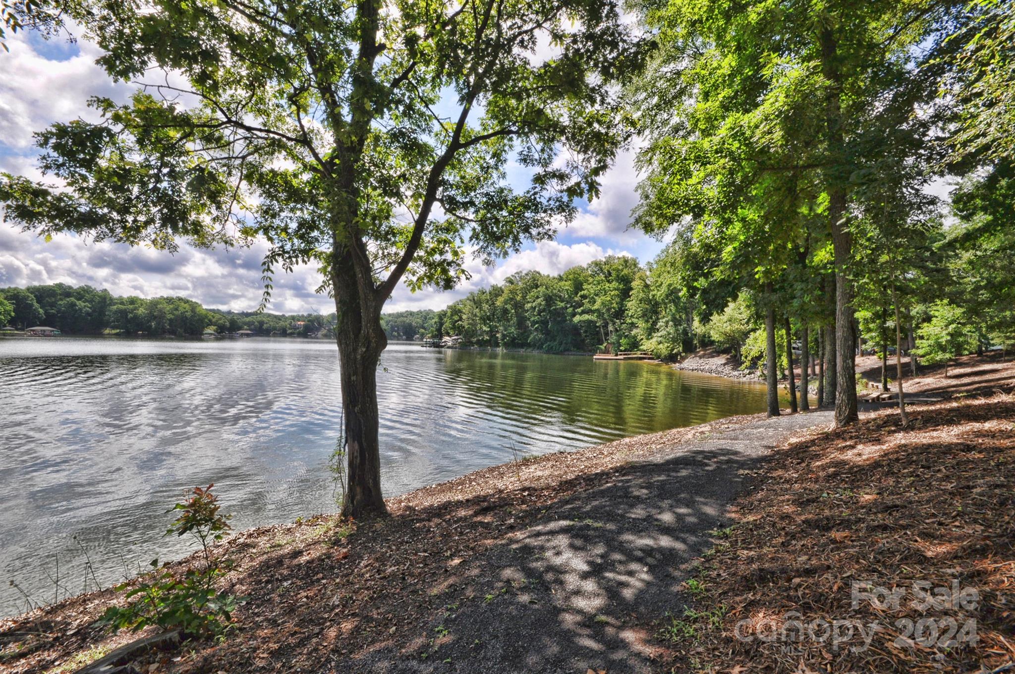 Lake Shore - Residential