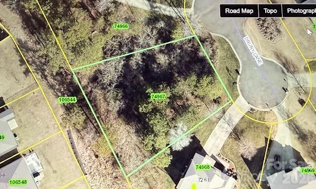 Windsor Forest - Land