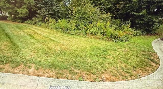 Windsor Forest - Land