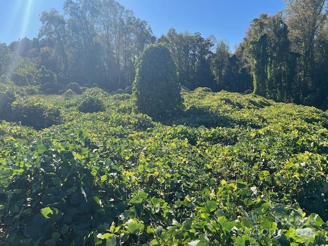 1473 Filbert Highway