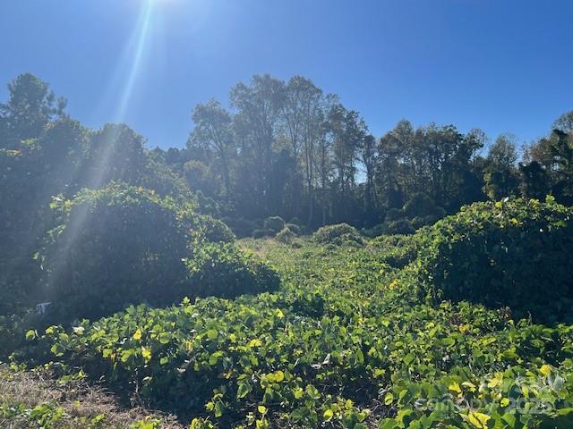 1473 Filbert Highway