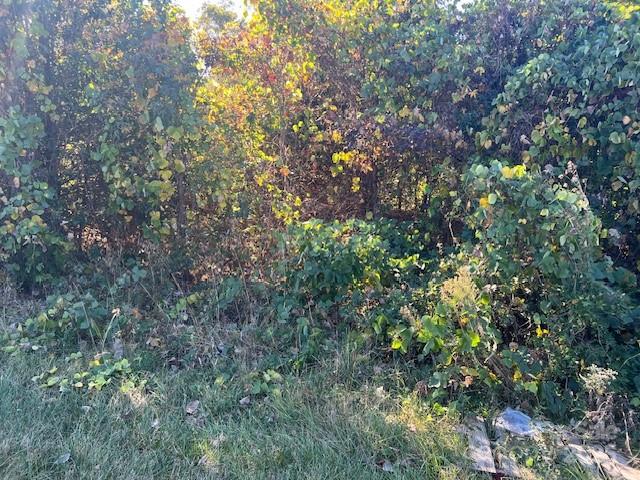 1473 Filbert Highway