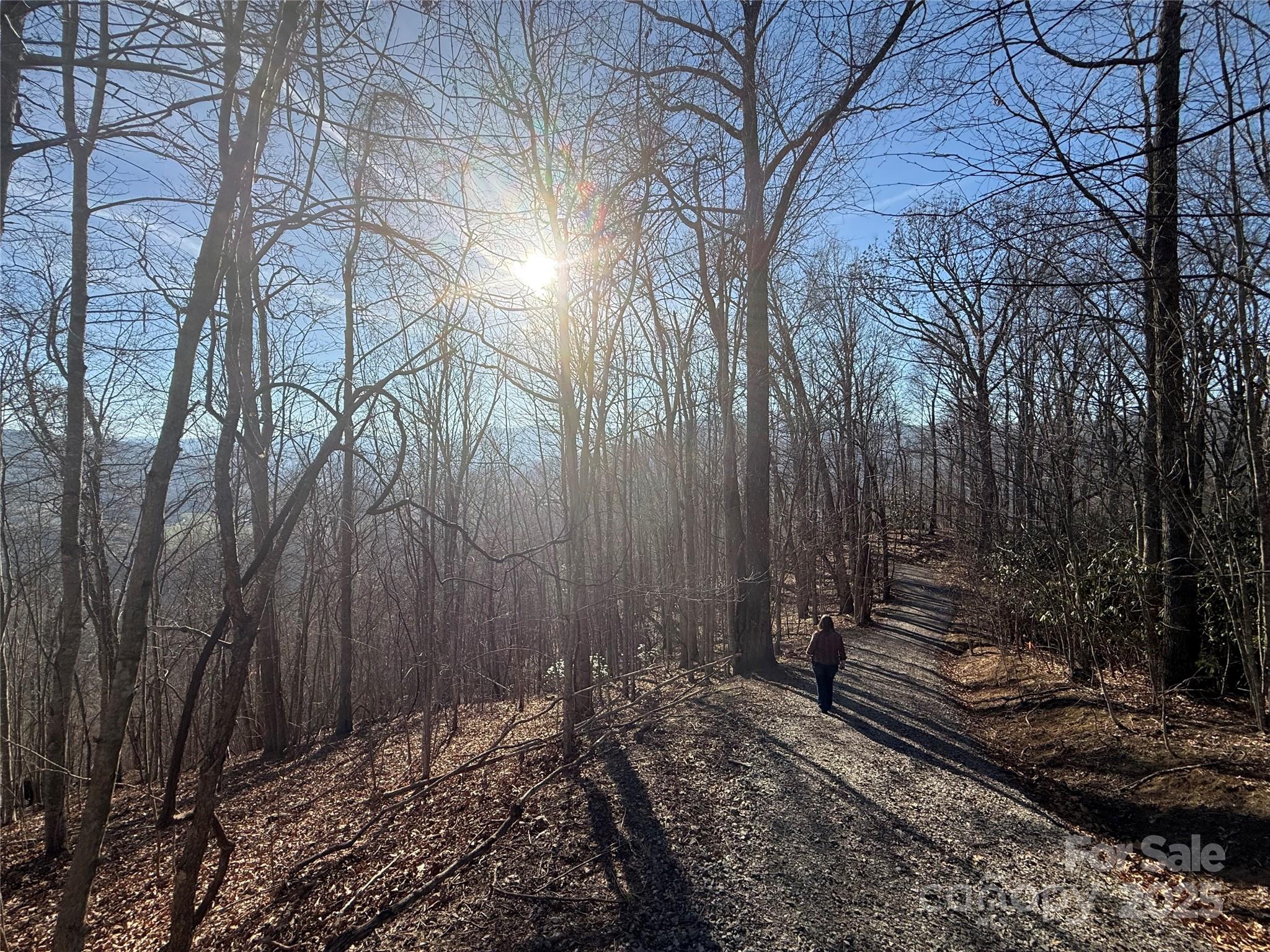 Rabbits Ridge - Land