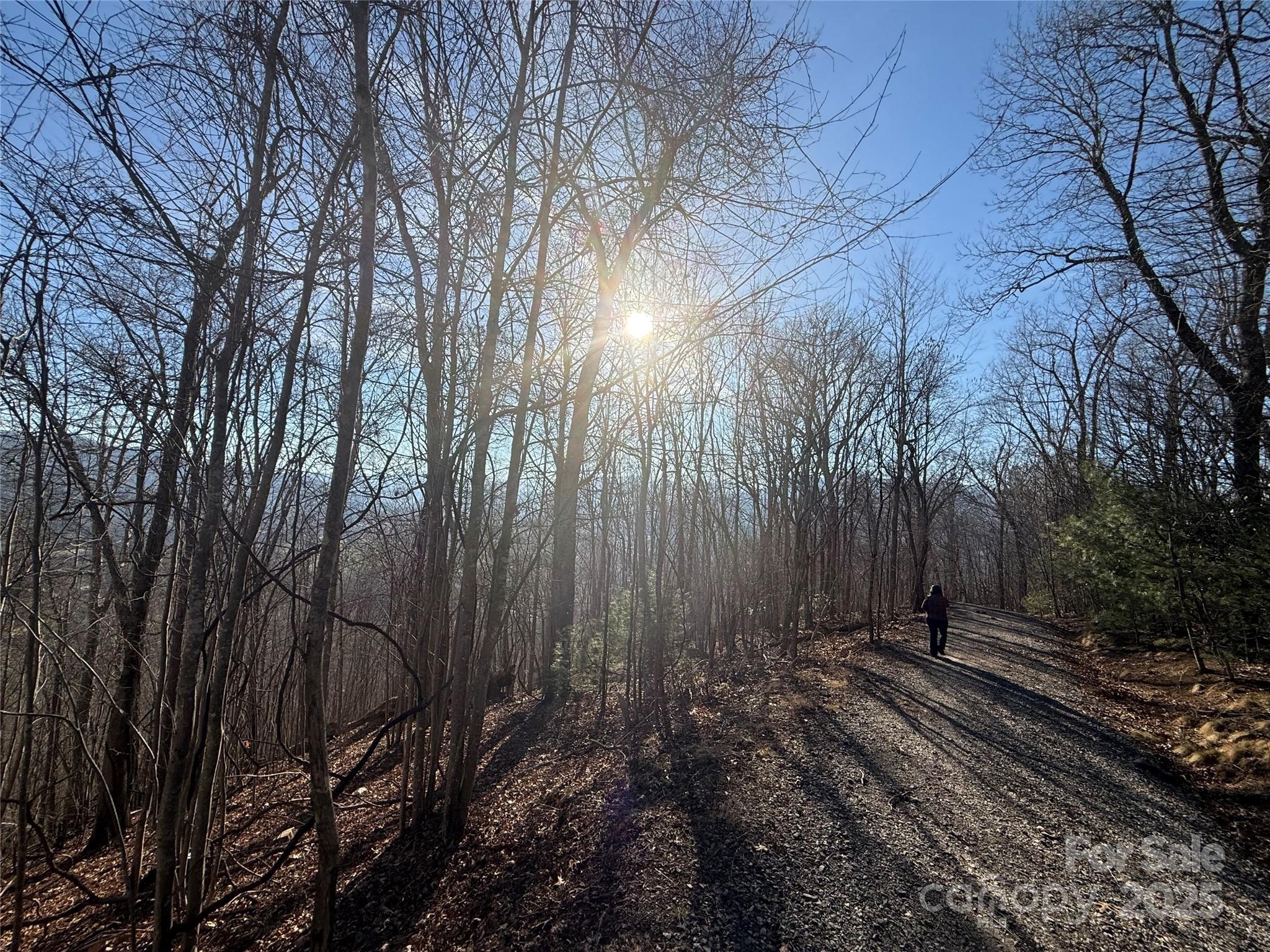 Rabbits Ridge - Land