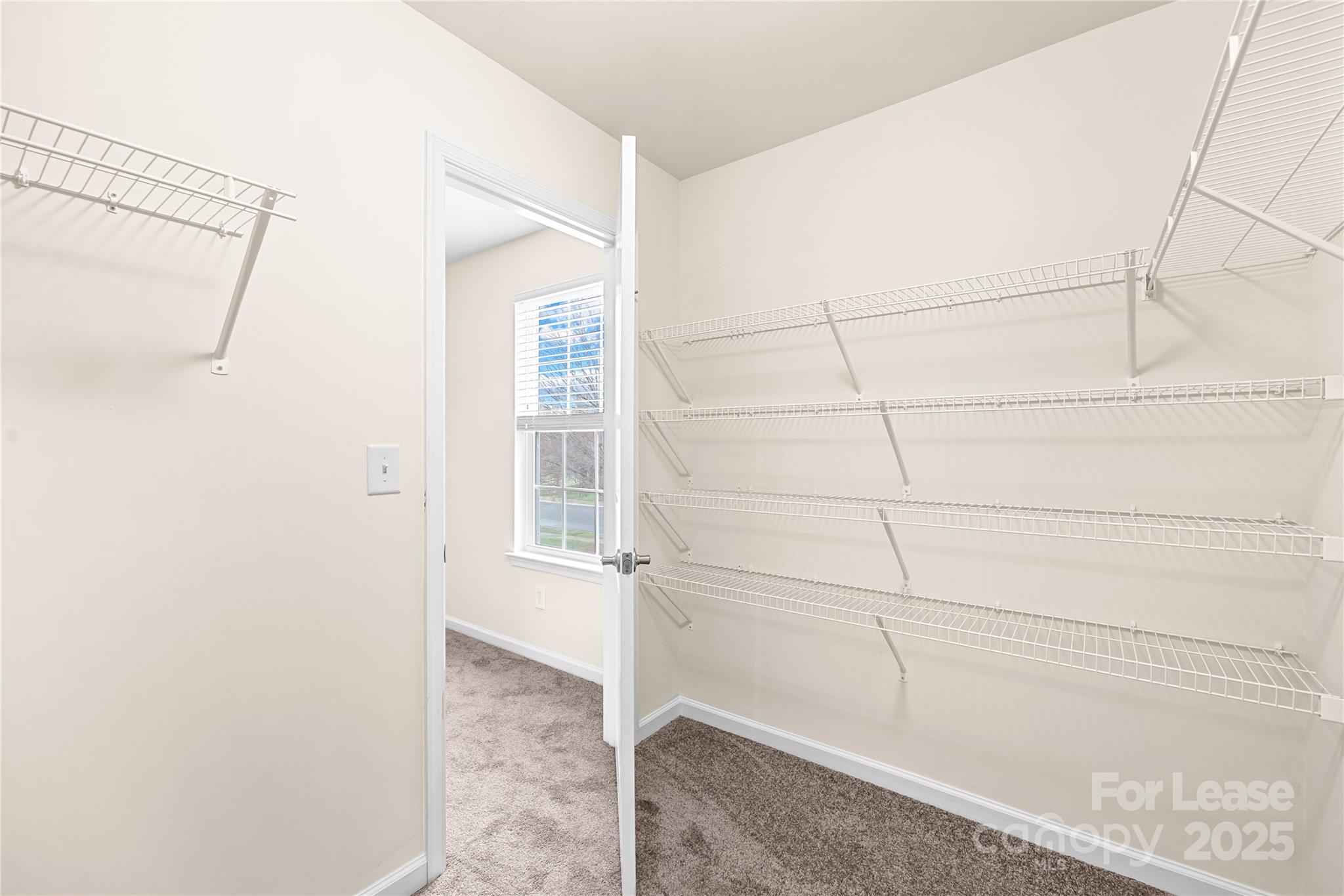 McCarley - Residential Lease