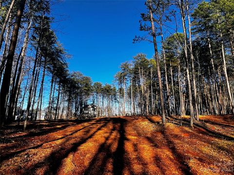 Photo of 109 Hunt Camp Trail #19, Davidson, NC 28036 (MLS # 4101865)