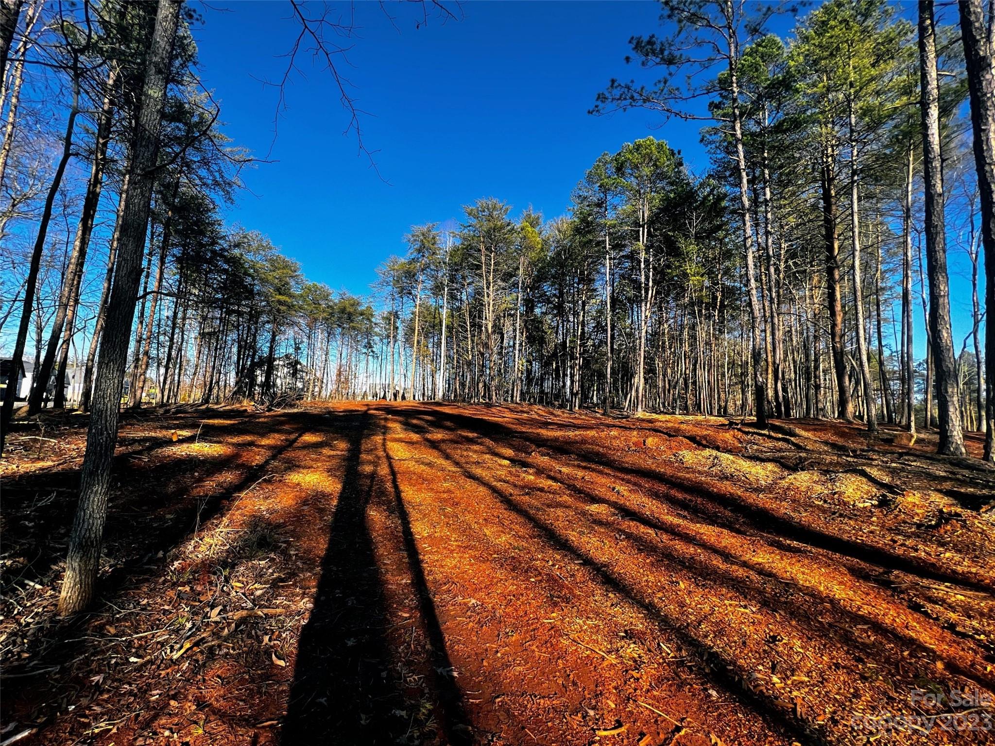 109 Hunt Camp Trail 19