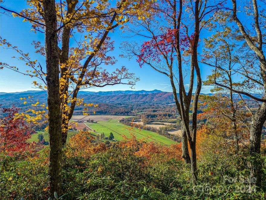One of Western North Carolina's largest privately owned land tracts in the Blue Ridge Mountains is up for sale. Welcome to Horse Shoe Mountain, a stunning estate spanning  644 acres in Henderson County, standing tall as one of the largest and most versatile parcels in the region outside of state and national forests. With sweeping mountain views and pristine woodland, this property is accessible to thriving mountain communities, as well as vibrant cultural and recreational offerings, and tucked among some of the oldest mountains in the world. The French Broad River access point is in close proximity to this property, along with the Ecusta Trail. Located less than 20 minutes to the Asheville Airport, downtown Brevard, Hendersonville, and the Dupont and Pisgah National Forests, this rolling, parklike expanse is a rare find.