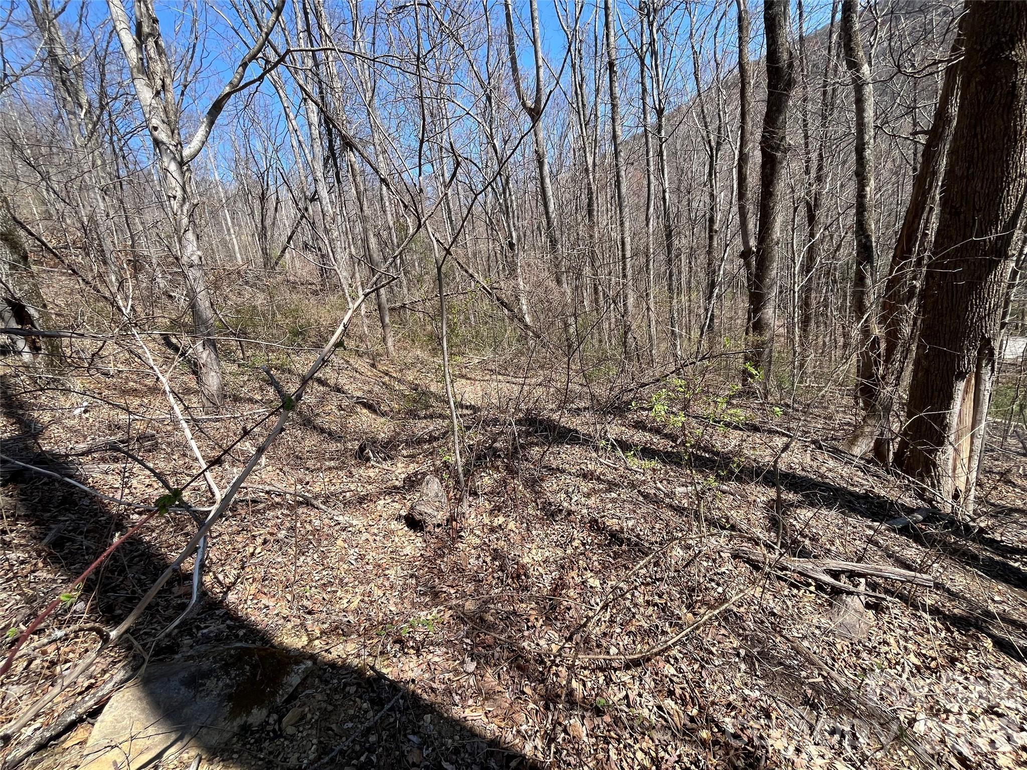 182 Old Mountain Pass