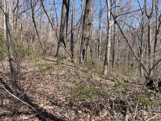 182 OLD MOUNTAIN PASS, HENDERSONVILLE, NC 28792 - Image ffd8fe0c871ef3ce8586a9149c479ffb/1665898690