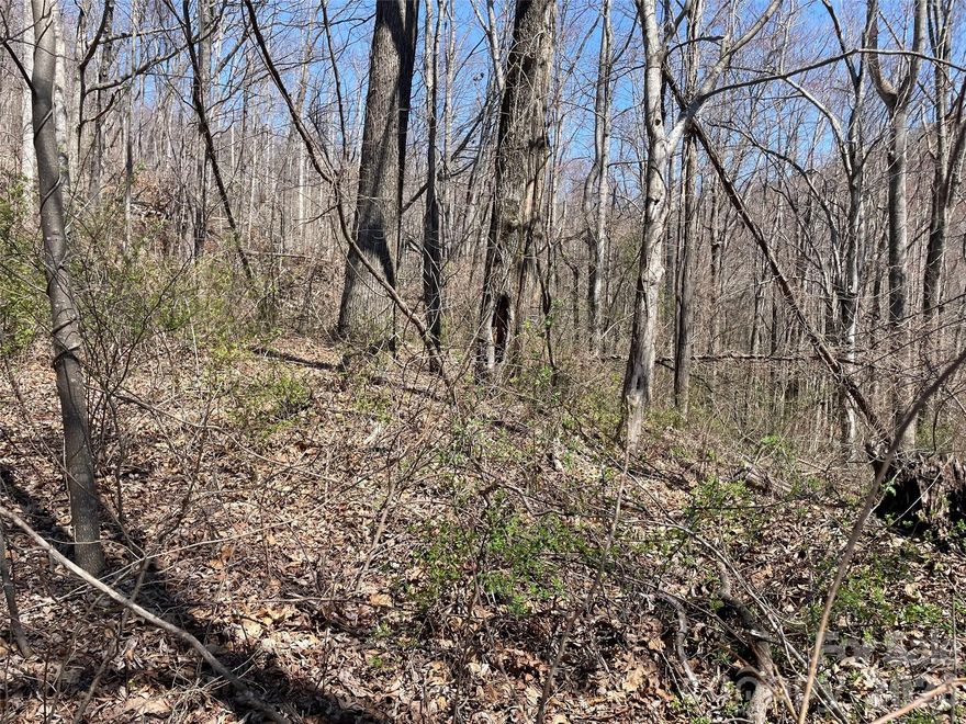 Mountain dreaming! A wonderful piece of land to build your dream home or vacation getaway. Located
in a desirable Fletcher area within just minutes to Asheville, Arden and Hendersonville, yet it
feels like you are tucked away with a private and peaceful setting. Turn this vision into a reality
with what you want at a great price!