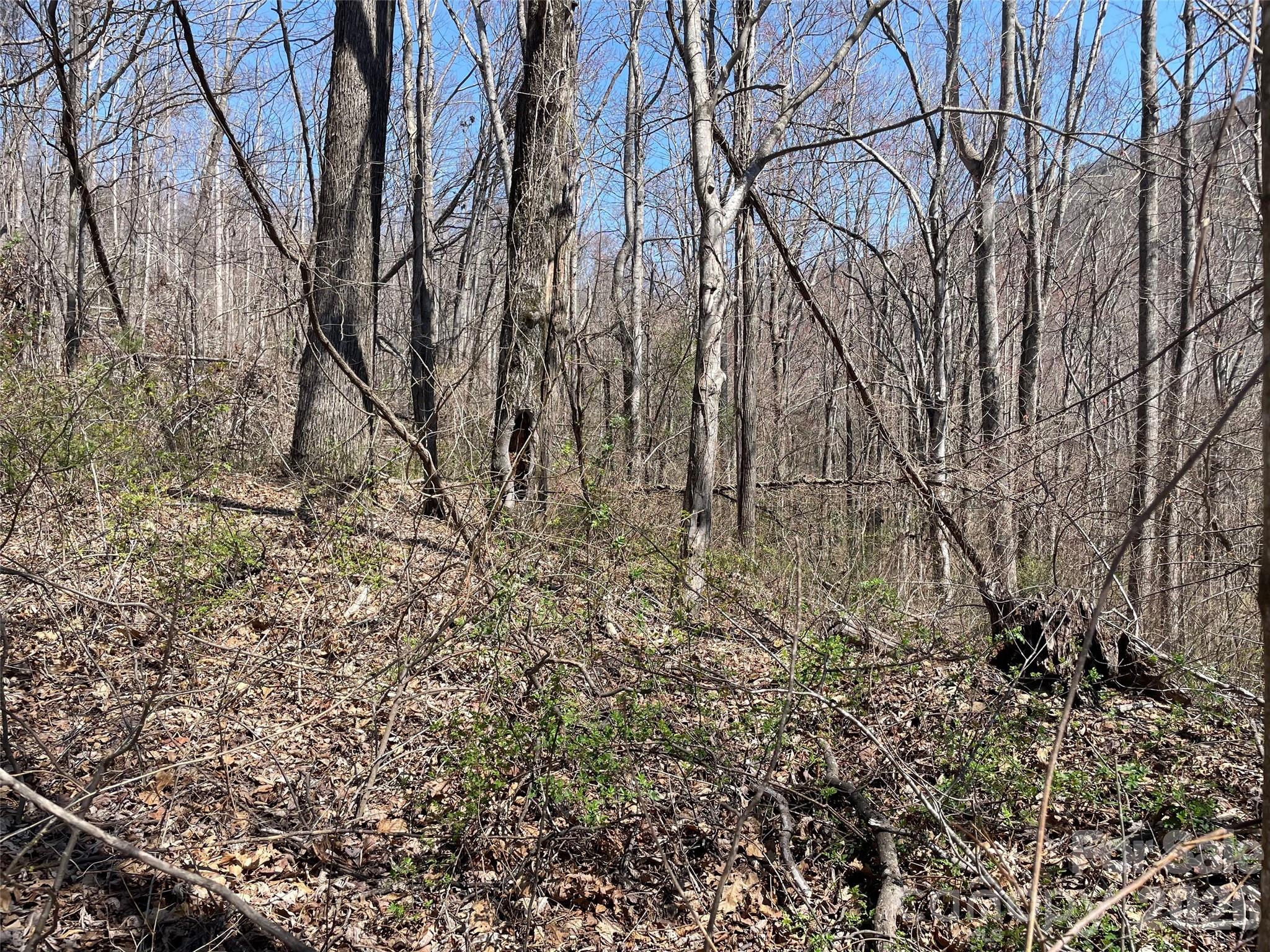 182 Old Mountain Pass