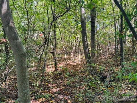 Photo of TBD Hi Alta Avenue, Asheville, NC 28806 (MLS # 4422246)