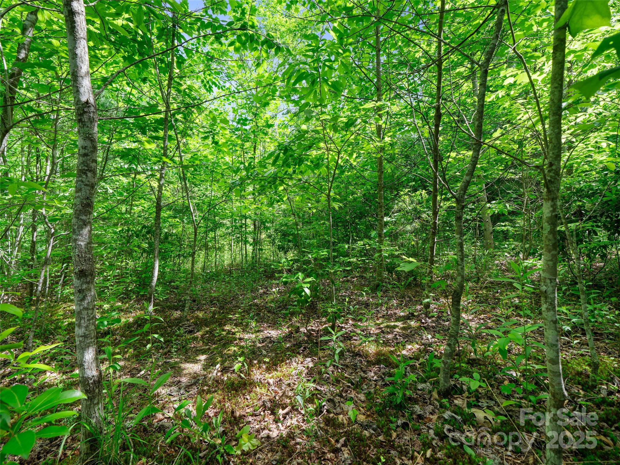 99999 Millbrae Loop N