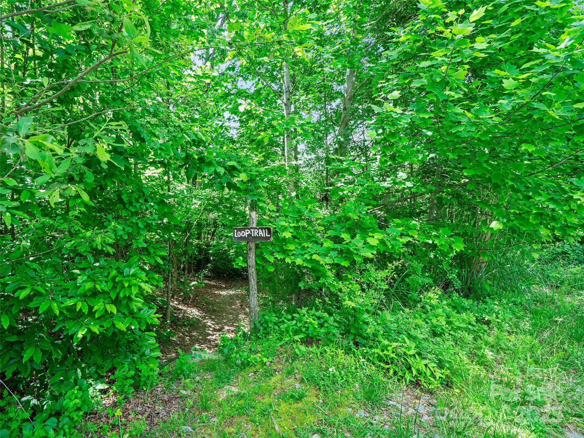 Carriage Park - Land