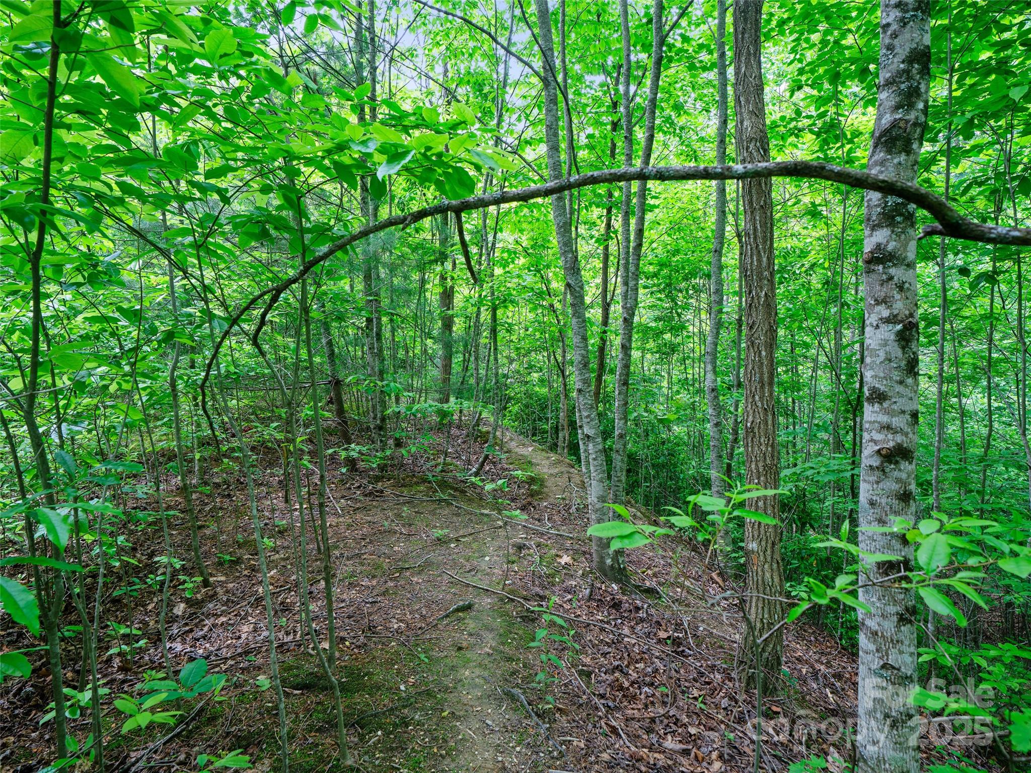 99999 Millbrae Loop N