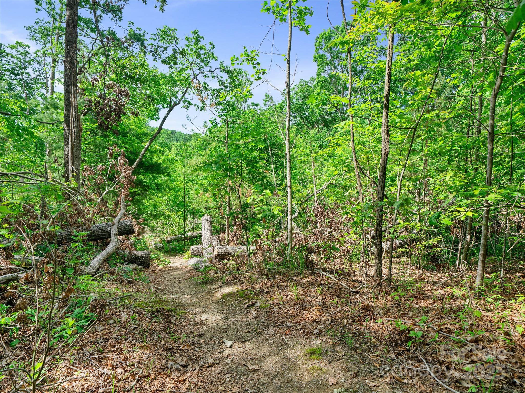 99999 Millbrae Loop N