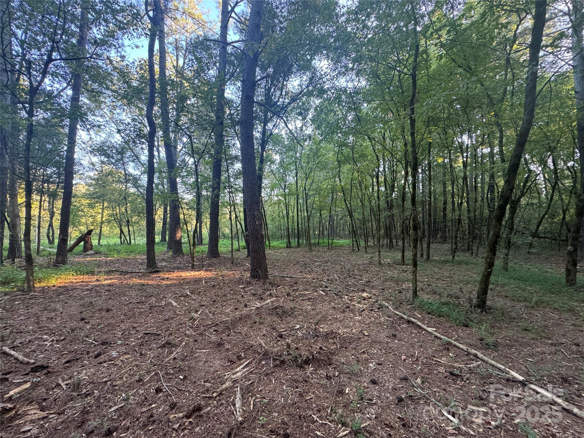 Serenity Creek - Land