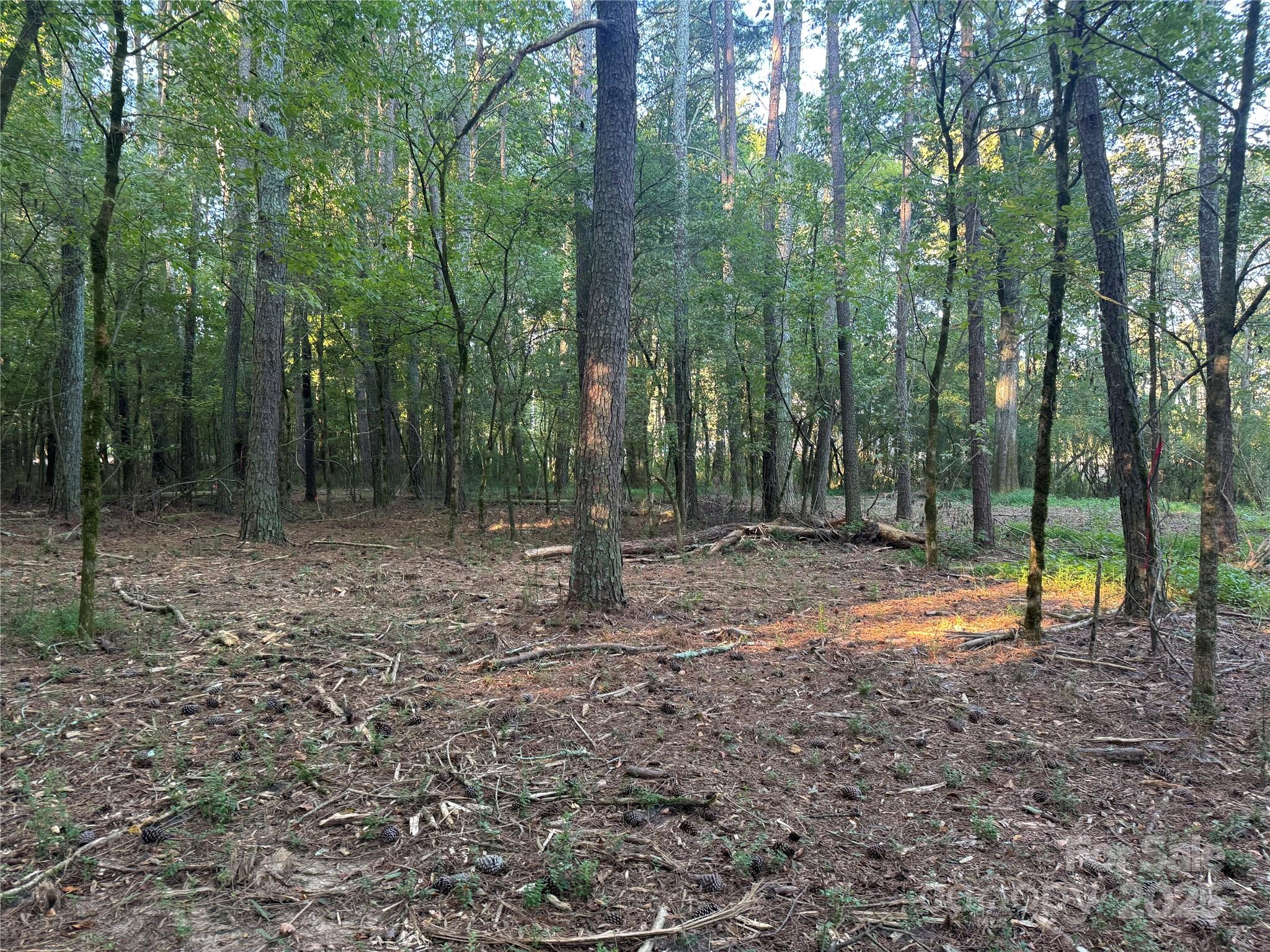 Serenity Creek - Land