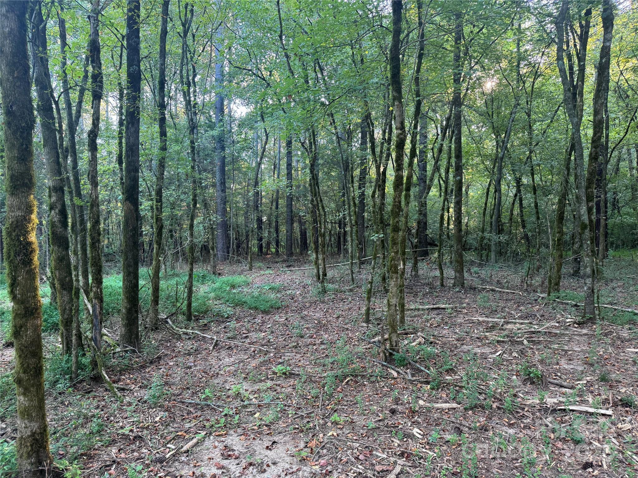 Serenity Creek - Land