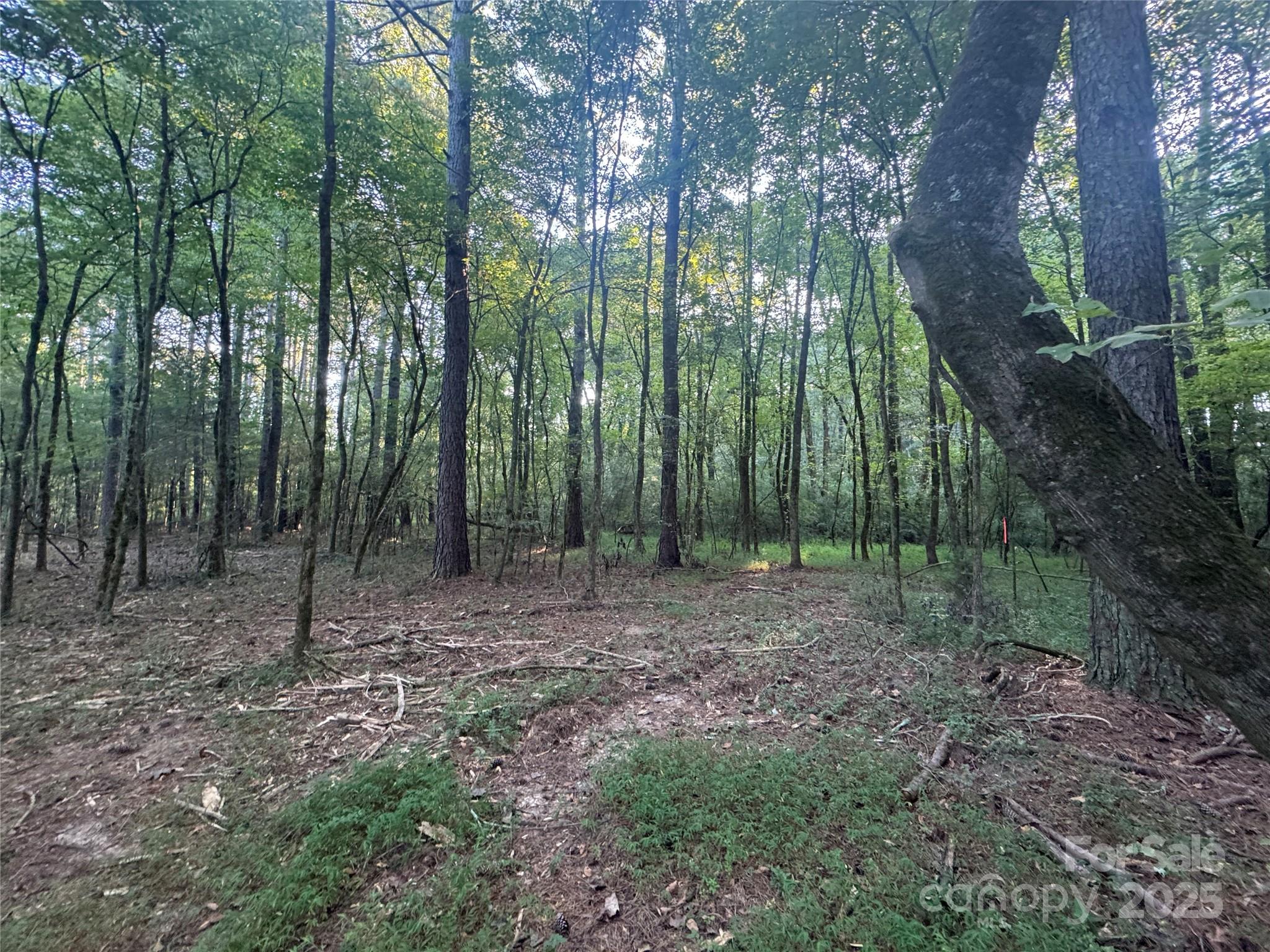 Serenity Creek - Land