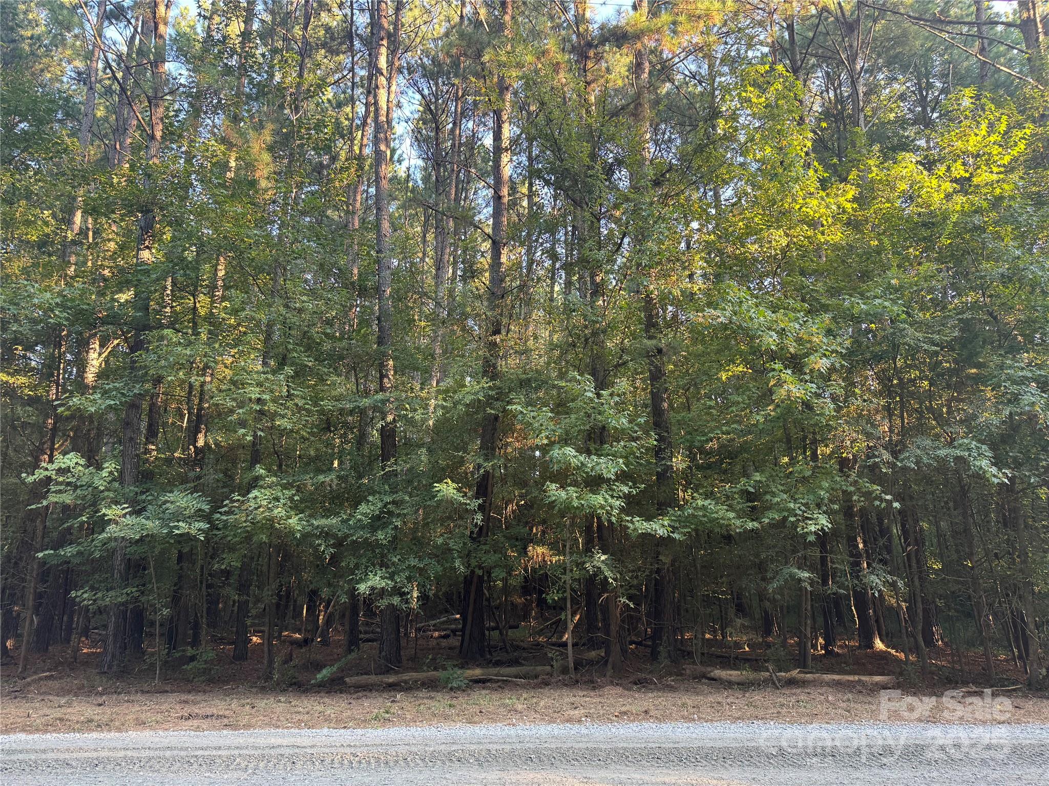 Serenity Creek - Land