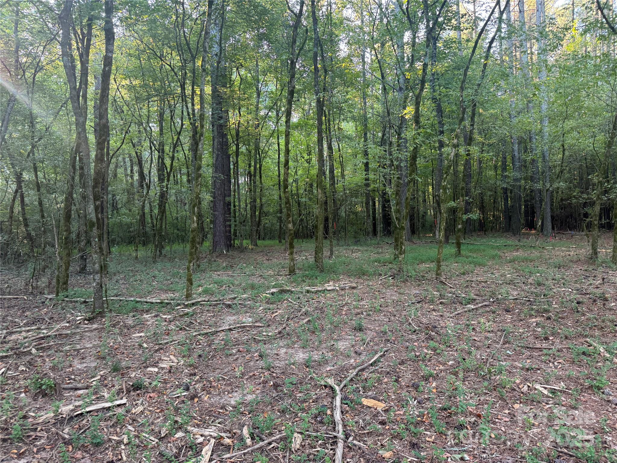 Serenity Creek - Land