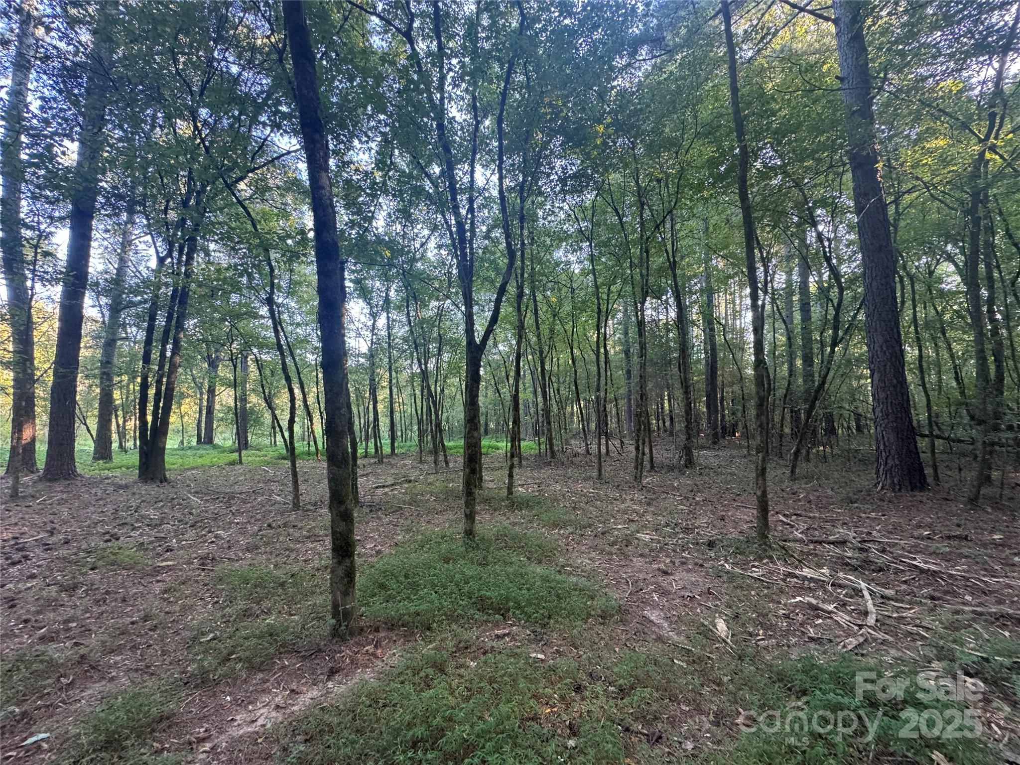 Serenity Creek - Land