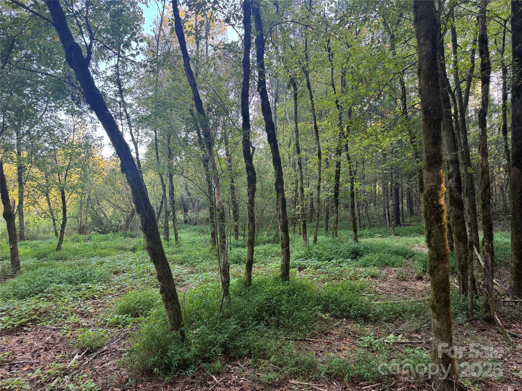 Serenity Creek - Land