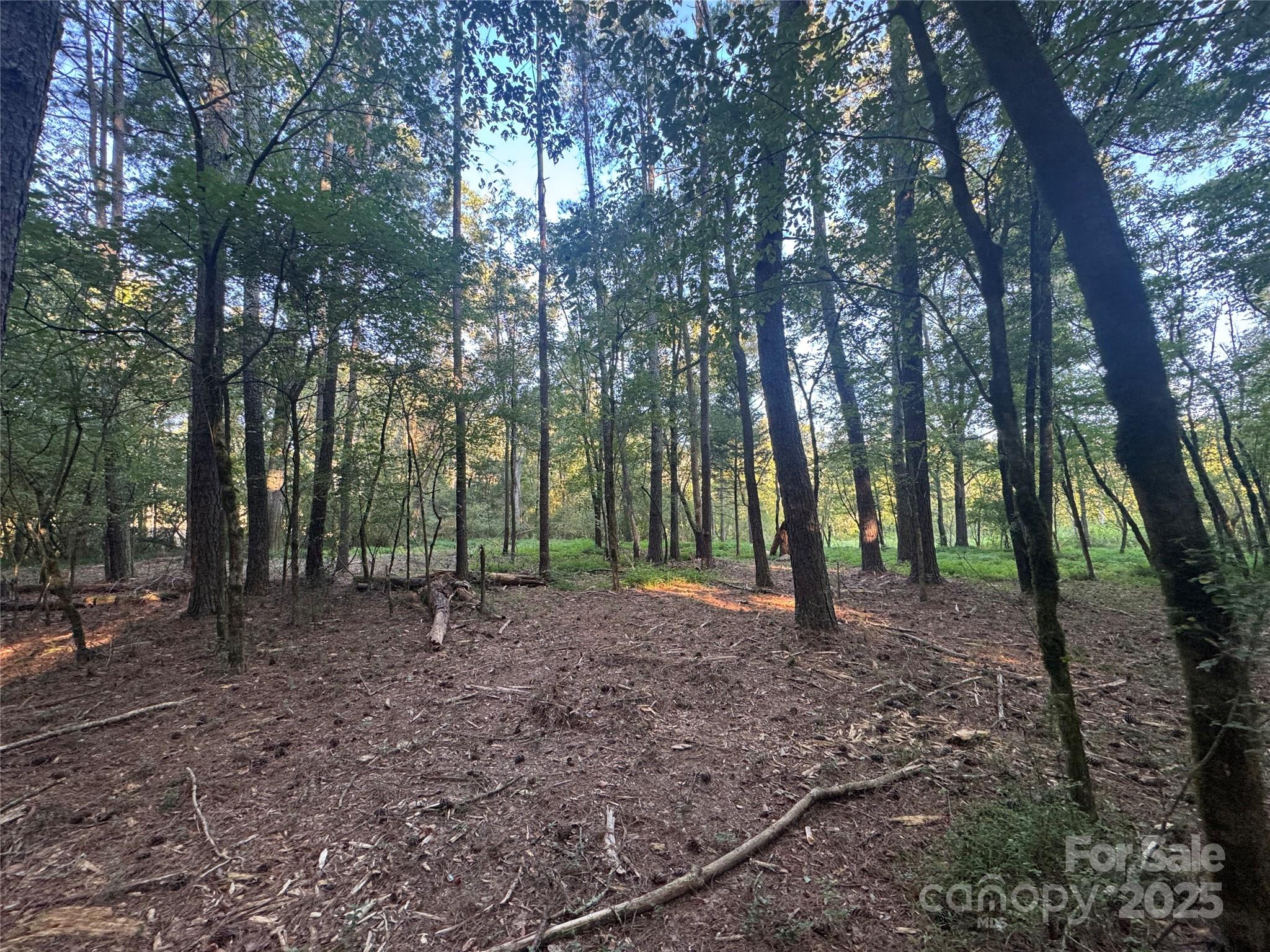 Serenity Creek - Land