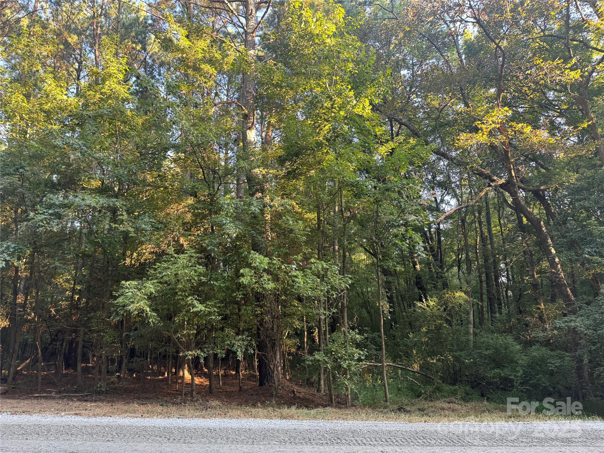 Serenity Creek - Land