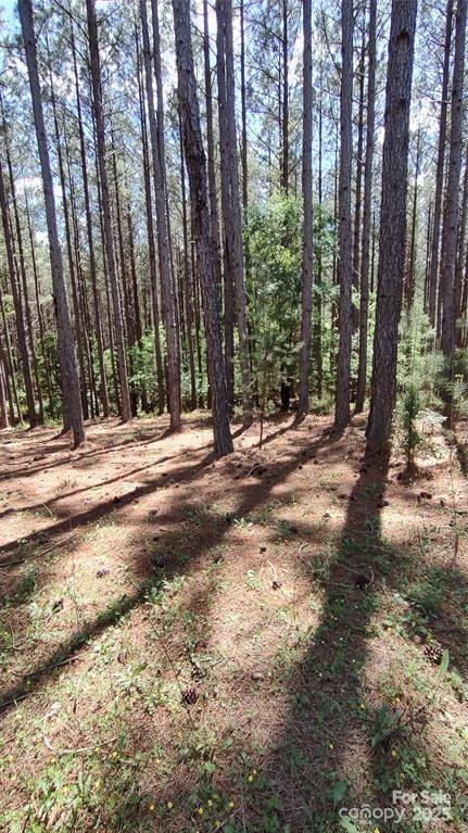 Broad River Highlands - Land