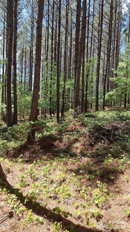 Broad River Highlands - Land