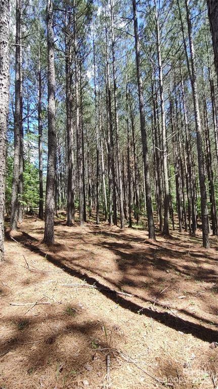 Broad River Highlands - Land