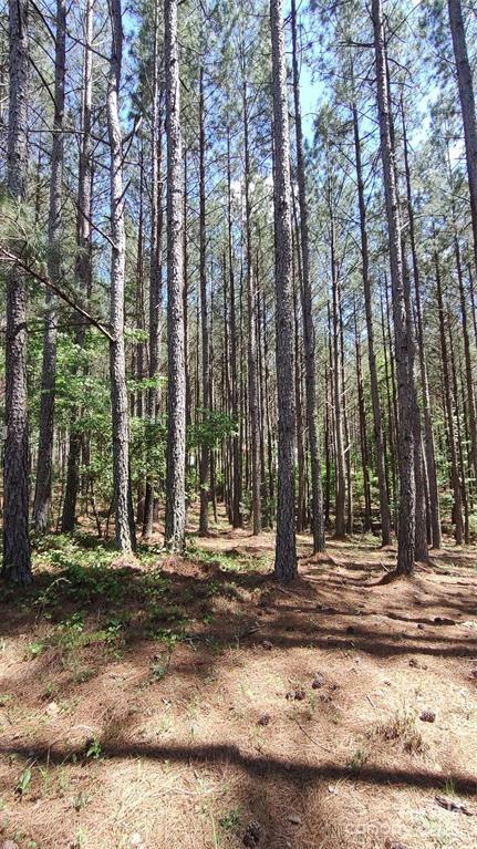 Broad River Highlands - Land