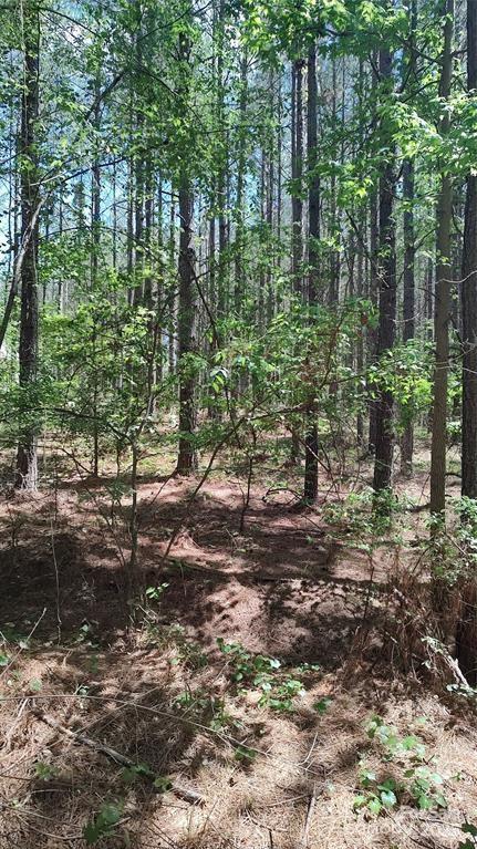 Broad River Highlands - Land