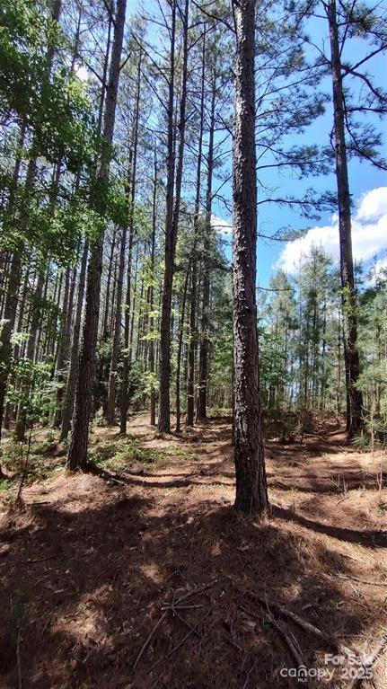 Broad River Highlands - Land