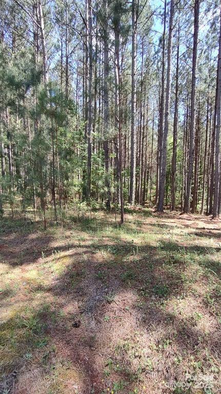 Broad River Highlands - Land