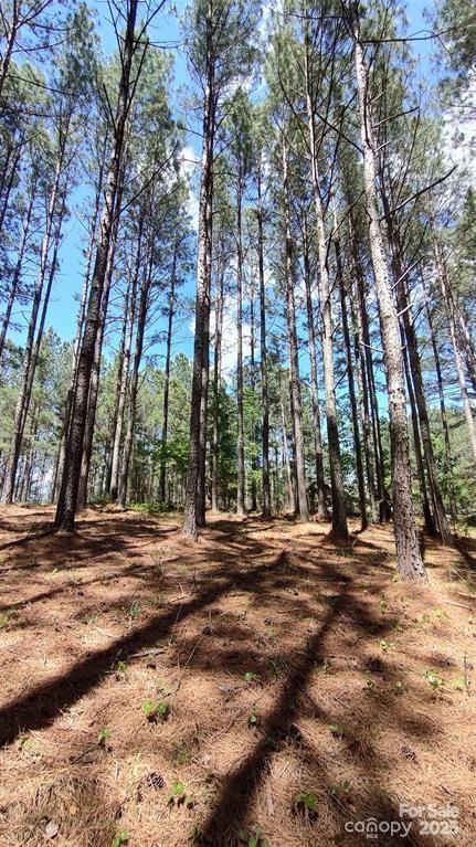 Broad River Highlands - Land